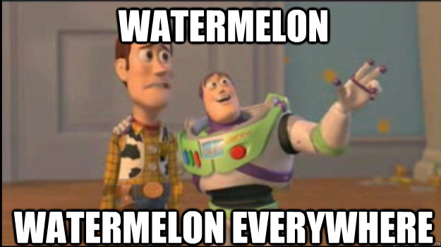 watermelon  watermelon everywhere  Buzz and Woody
