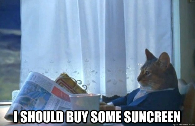  I should buy some suncreen -  I should buy some suncreen  Sophisticated Cat