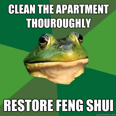 Clean the apartment thouroughly restore feng shui - Clean the apartment thouroughly restore feng shui  Foul Bachelor Frog