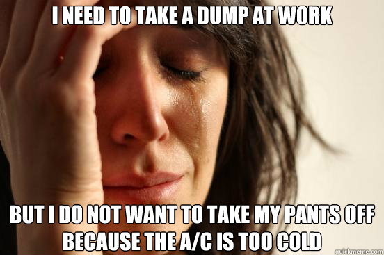 I need to take a dump at work but I do not want to take my pants off because the A/C is too cold  First World Problems