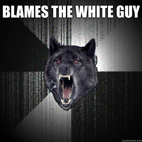 BLAMES THE WHITE GUY   Insanity Wolf