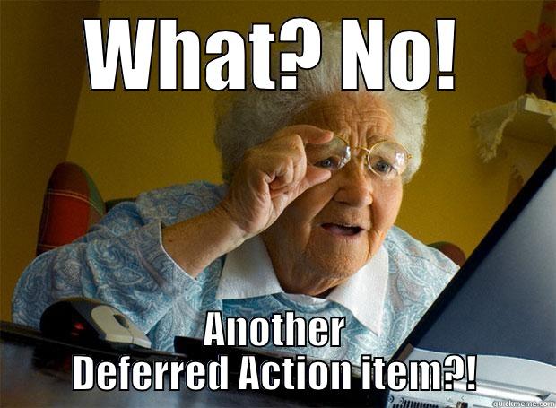 WHAT? NO! ANOTHER DEFERRED ACTION ITEM?! Grandma finds the Internet