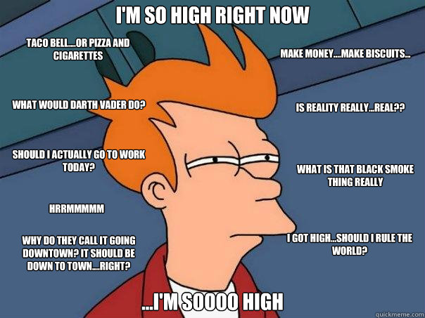 I'm so high right now ...I'm soooo high Should I actually go to work today? Is reality really...real?? Taco Bell....or pizza and cigarettes Make money....make biscuits... What is that black smoke thing really What would Darth Vader do? I got high...should  Futurama Fry