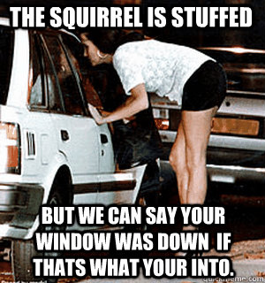 The squirrel is stuffed But we can say your window was down  if thats what your into.  Karma Whore