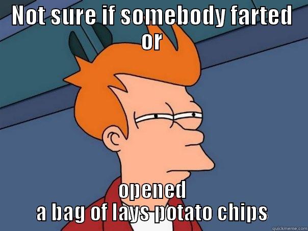 NOT SURE IF SOMEBODY FARTED OR OPENED A BAG OF LAYS POTATO CHIPS Futurama Fry