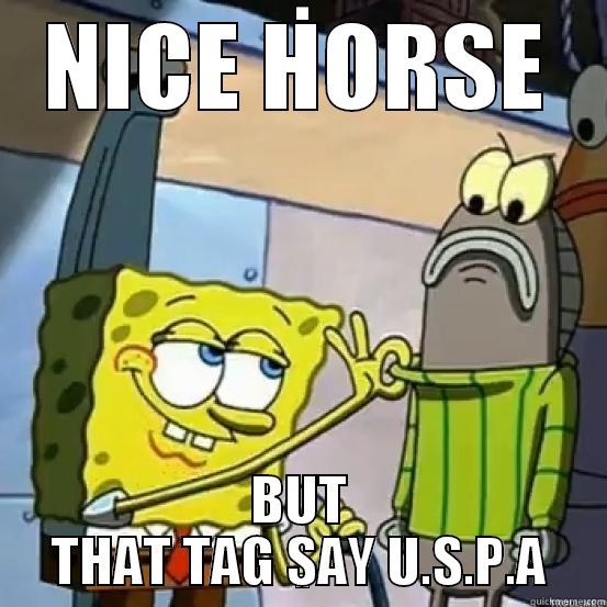 NICE HORSE BUT THAT TAG SAY U.S.P.A Misc