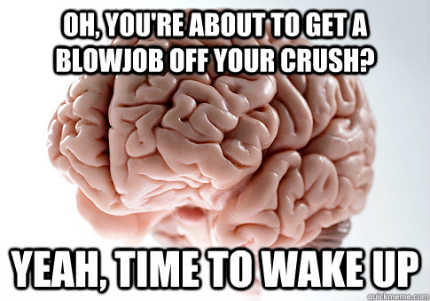 oh, you're about to get a blowjob off your crush? Yeah, time to wake up   Scumbag Brain
