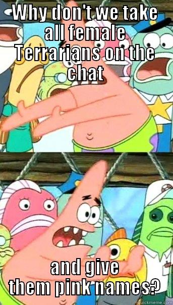 WHY DON'T WE TAKE ALL FEMALE TERRARIANS ON THE CHAT AND GIVE THEM PINK NAMES? Push it somewhere else Patrick