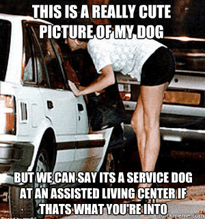 THIS IS A REALLY CUTE PICTURE OF MY DOG BUT WE CAN SAY ITS A SERVICE DOG AT AN ASSISTED LIVING CENTER IF THATS WHAT YOU'RE INTO  Karma Whore