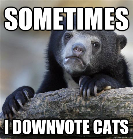 Sometimes i downvote cats  Confession Bear