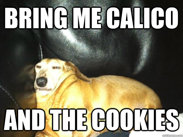BRING ME CALICO AND THE COOKIES - BRING ME CALICO AND THE COOKIES  Jabba the Mutt