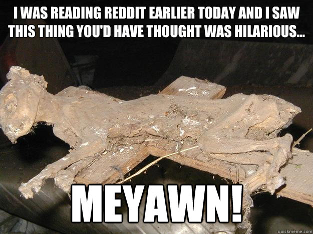 i was reading reddit earlier today and i saw this thing you'd have thought was hilarious... MEYAWN! - i was reading reddit earlier today and i saw this thing you'd have thought was hilarious... MEYAWN!  Uninterested Mummy Cat
