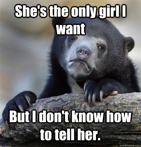 She's the only girl I want But I don't know how to tell her.  Confession Bear