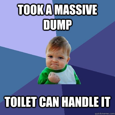 Took a massive dump toilet can handle it  Success Kid