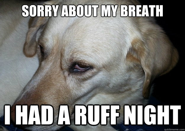 Sorry about my breath I had a ruff night  