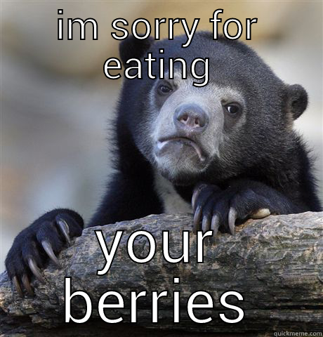 IM SORRY FOR EATING YOUR BERRIES Confession Bear