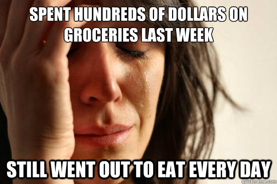 Spent hundreds of dollars on groceries last week Still went out to eat every day  First World Problems