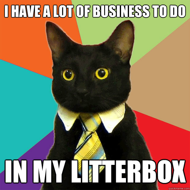 I have a lot of business to do In my litterbox  Business Cat