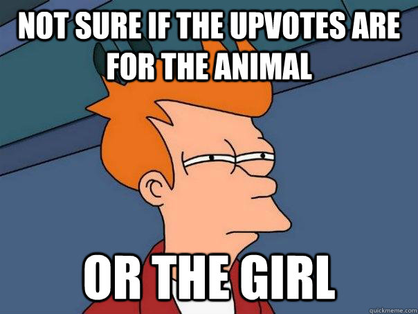 Not sure if the upvotes are for the animal Or the girl  Futurama Fry