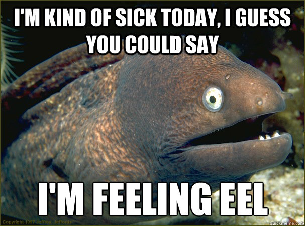 I'm kind of sick today, I guess you could say I'm feeling eel  Bad Joke Eel