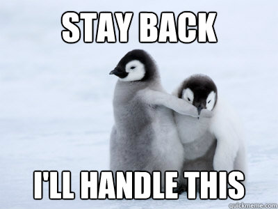 stay back i'll handle this  Protective Penguin