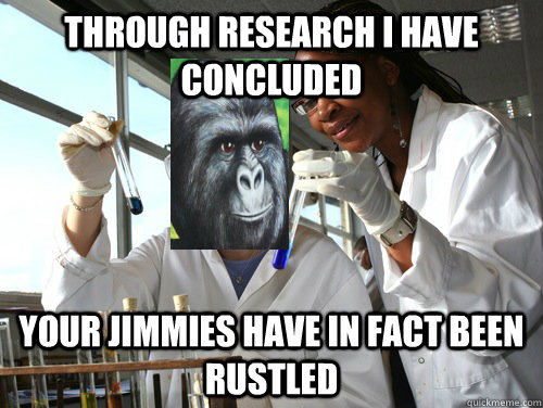 Through research I have concluded Your jimmies have in fact been rustled   