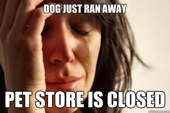 dog just ran away pet store is closed  First World Problems
