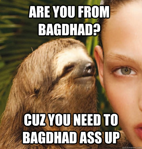 Are you from bagdhad? cuz you need to bagdhad ass up  Whispering Sloth