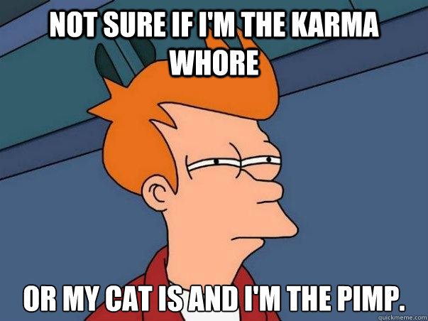 Not sure if I'm the karma whore or my cat is and I'm the pimp.  Not sure Fry
