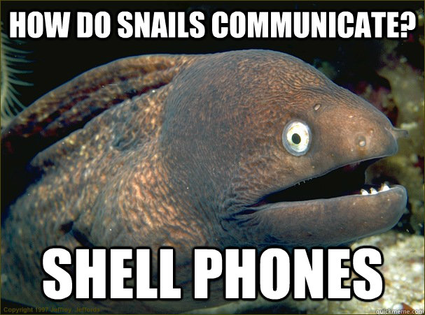 how do snails communicate? shell phones - how do snails communicate? shell phones  Bad Joke Eel