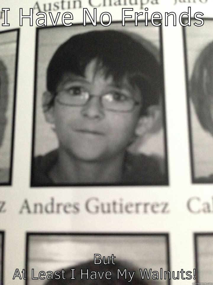 I HAVE NO FRIENDS  BUT AT LEAST I HAVE MY WALNUTS! Misc