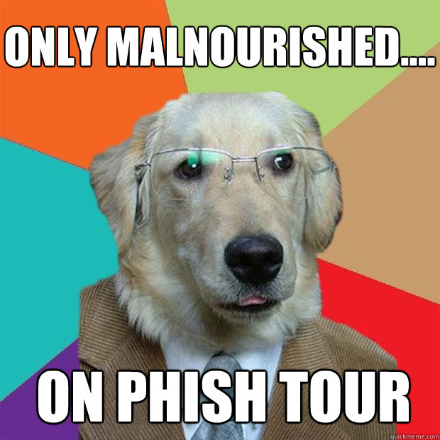 Only malnourished....
 on phish tour  Business Dog