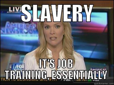 Totes Not Racist -      SLAVERY      IT'S JOB TRAINING, ESSENTIALLY Megyn Kelly