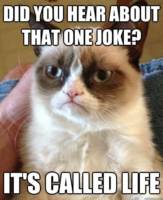 Did you hear about that one joke? It's called life  grumpycat