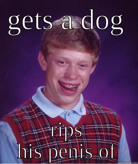 GETS A DOG RIPS HIS PENIS OF Bad Luck Brian