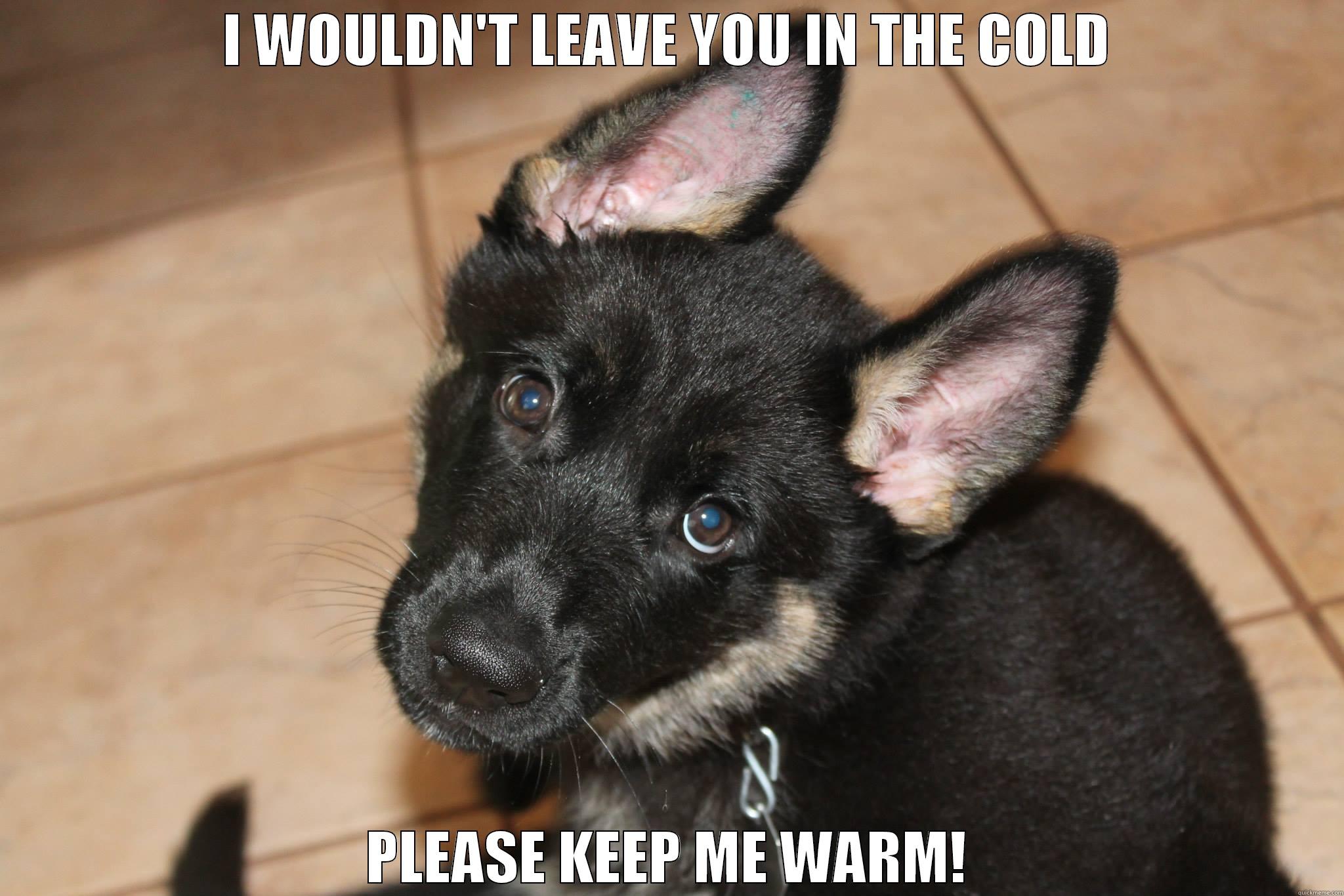 I WOULDN'T LEAVE YOU IN THE COLD PLEASE KEEP ME WARM! Misc