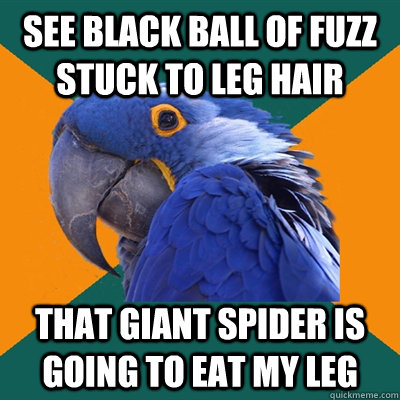 see black ball of fuzz stuck to leg hair that giant spider is going to eat my leg  Paranoid Parrot