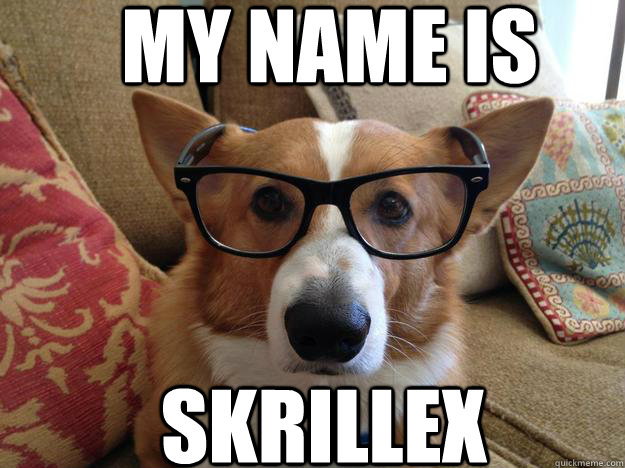 My name is Skrillex - My name is Skrillex  Hipster corgi