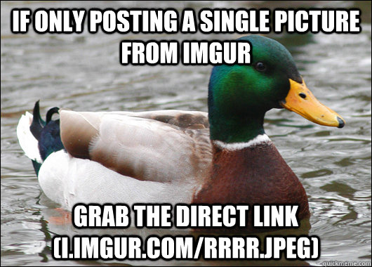 if only posting a single picture from imgur grab the direct link (i.imgur.com/rrrr.jpeg)  Actual Advice Mallard