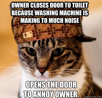 Owner closes door to toilet because washing machine is making to much noise opens the door to annoy owner.  Scumbag Cat
