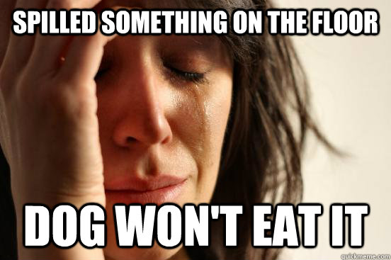Spilled something on the floor Dog won't eat it  First World Problems