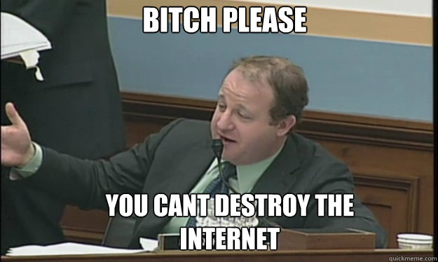 BITCH PLEASE YOU CANT DESTROY THE INTERNET  SOPA sucks