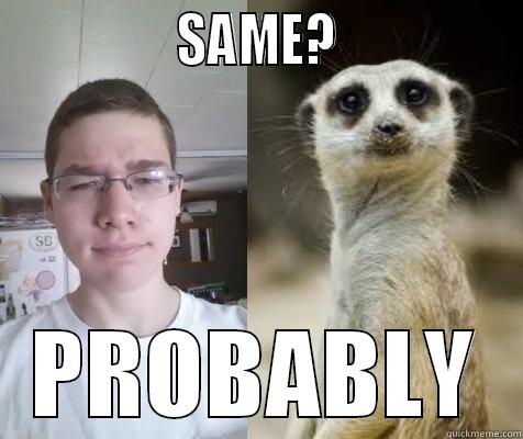                SAME?                PROBABLY Misc