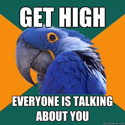 Get high everyone is talking about you  Paranoid Parrot