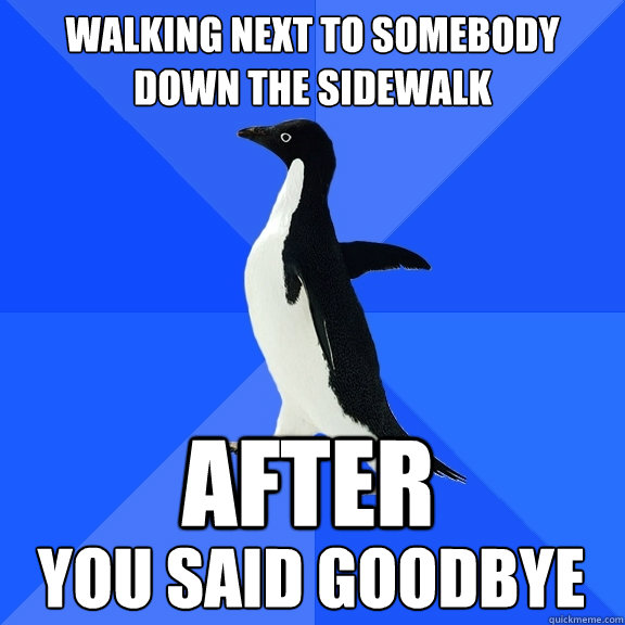 walking next to somebody down the sidewalk after  you said goodbye  Socially Awkward Penguin