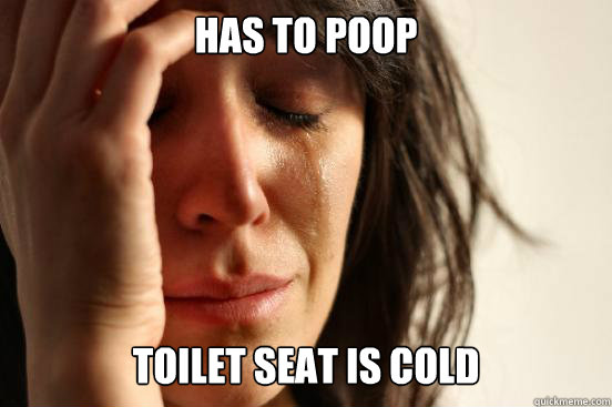 has to poop toilet seat is cold  First World Problems