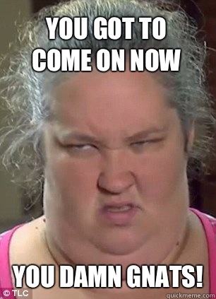 You got to
come on now You damn gnats!  Honey Boo Boo