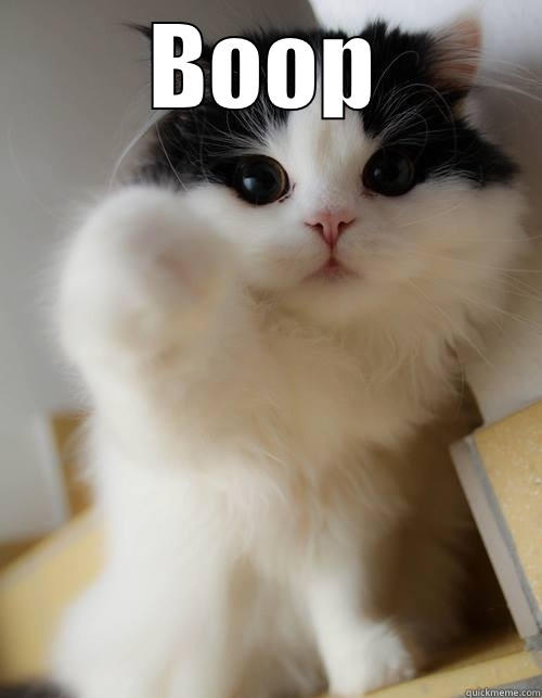BOOP  Misc