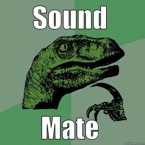 Sound Mate - SOUND MATE Philosoraptor