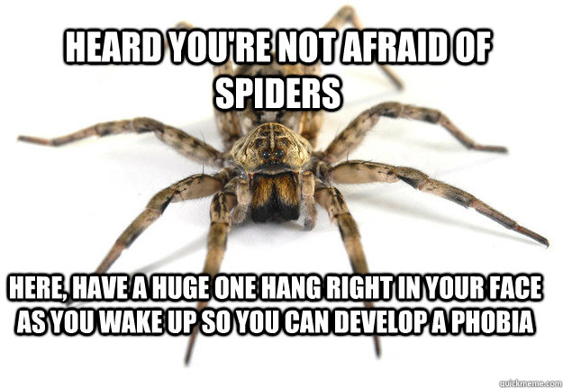 heard you're not afraid of spiders here, have a huge one hang right in your face as you wake up so you can develop a phobia  goddamn bugs